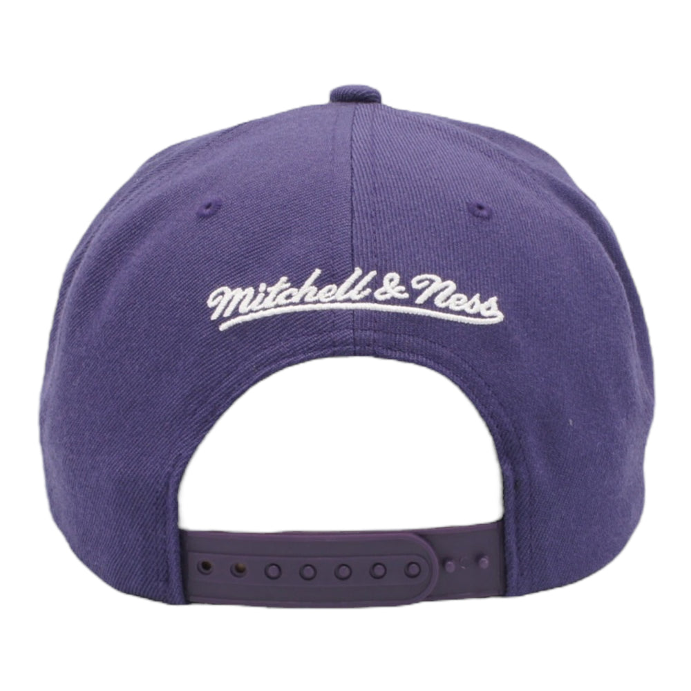 
                  
                    MITCHELL & NESS SNAPBACK HAT ONE SIZE - CHARLOTTE HORNETS PURPLE
                  
                