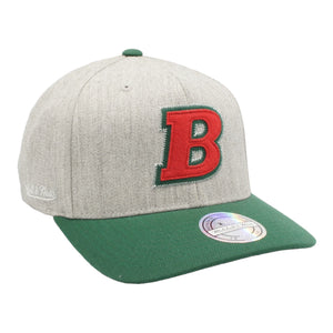 
                  
                    MITCHELL & NESS SNAPBACK HAT ONE SIZE MILWAUKEE BUCKS GREY GREEN
                  
                