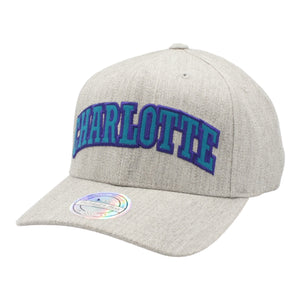 
                  
                    MITCHELL & NESS SNAPBACK HAT ONE SIZE - CHARLOTTE HORNETS GREY
                  
                