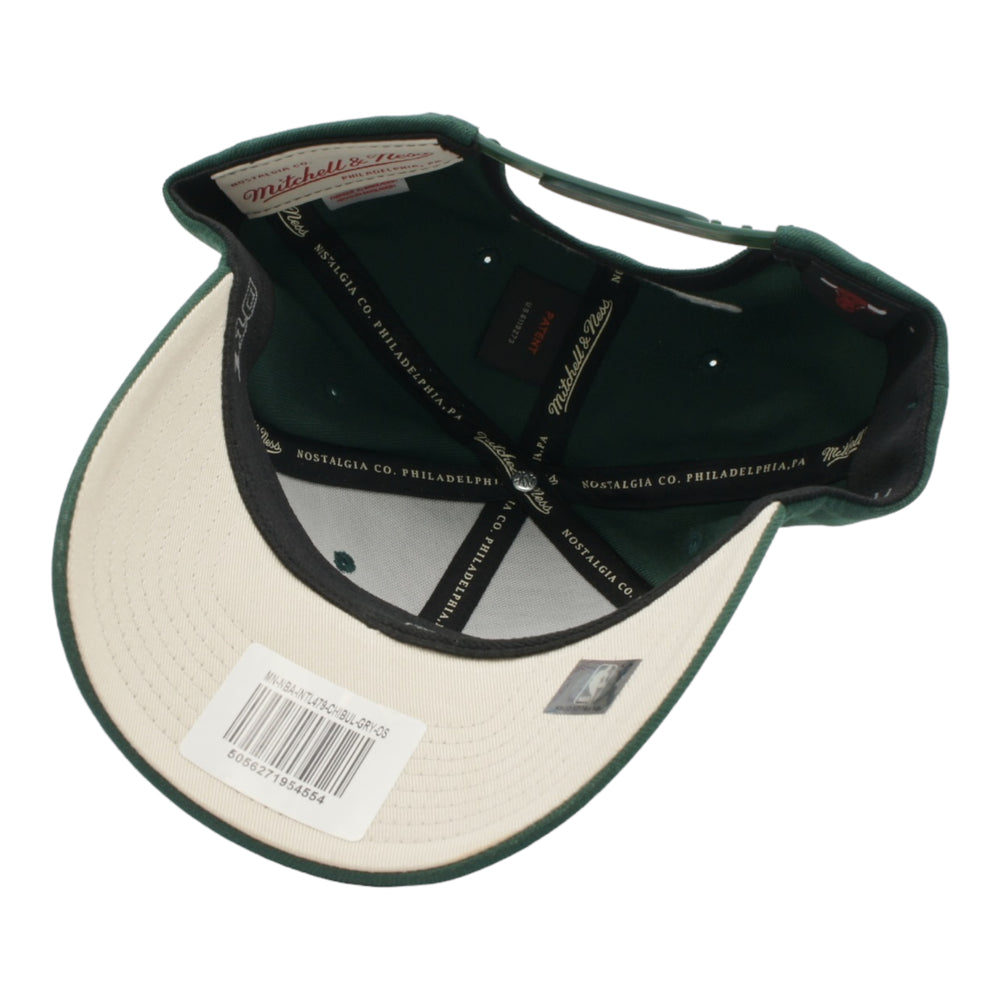 
                  
                    MITCHELL & NESS SNAPBACK HAT ONE SIZE CHICAGO BULLS GREEN WHITE BULL
                  
                