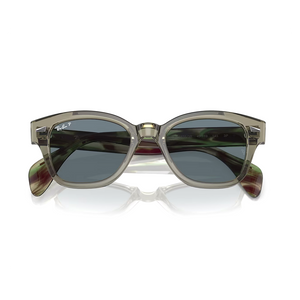 
                  
                    RAY BAN RB0880S POLARIZED TRANSPARENT GREEN DARK BLUE
                  
                