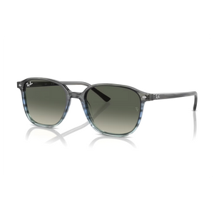 
                  
                    RAY BAN LEONARD RB2193 GREY BLUE
                  
                