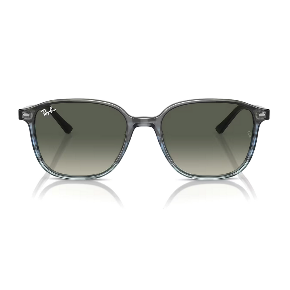 
                  
                    RAY BAN LEONARD RB2193 GREY BLUE
                  
                