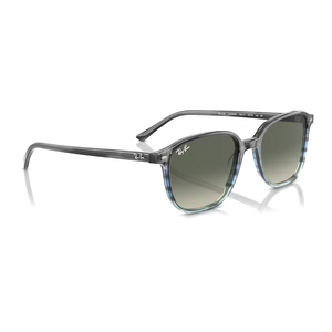 
                  
                    RAY BAN LEONARD RB2193 GREY BLUE
                  
                