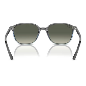 
                  
                    RAY BAN LEONARD RB2193 GREY BLUE
                  
                