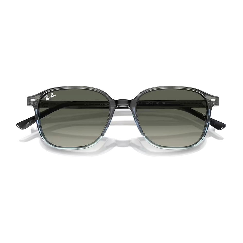 
                  
                    RAY BAN LEONARD RB2193 GREY BLUE
                  
                