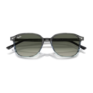 
                  
                    RAY BAN LEONARD RB2193 GREY BLUE
                  
                